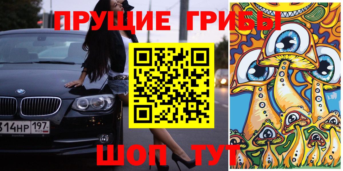 Советская Гавань  Псилоцибиновые грибы прущие грибы  Вход с VPN  купить наркотик  Галлюциногенные грибы Psilocybine cubensis 